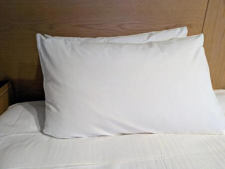 地上波で美女のマ●毛を集めて枕を作る企画を放送してしまい炎上