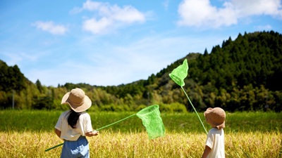 (ヽ´ん`)「俺、死ぬ前に小学生の頃を、またやってみたい」