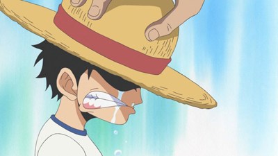 【悲報】小野田紀美大臣「某麦わらの方も『何が嫌いかじゃなく何を好きかで自分を語れ』って言ってましたよ」