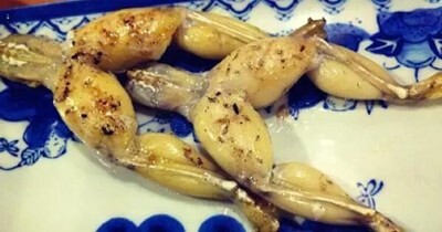 【閲覧注意】カエル、しゃぶしゃぶにされて嫌がるｗｗｗ