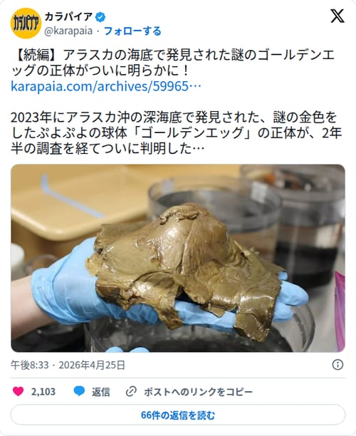 【朗報】アラスカの深海で見つかった謎の『ゴールデンエッグ』、2年半かけてついに正体が判明してしまう