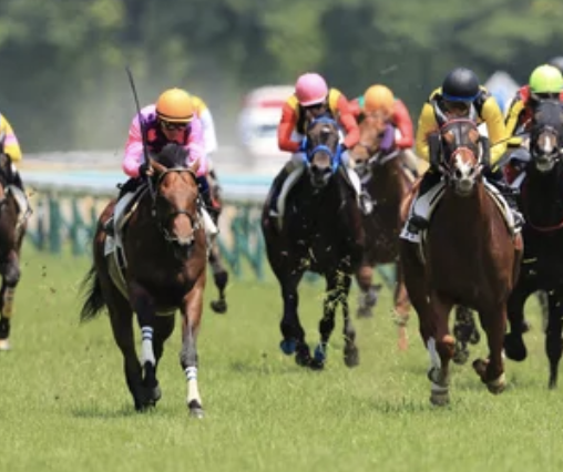 競馬予想を『Gemini』にやらせた結果トンデモないことが起きたwww