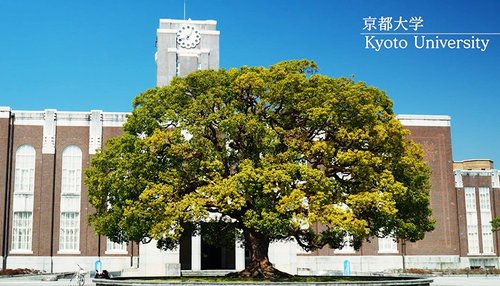 【悲報】京大教授「人工石油の開発に成功した！リッターあたり14円で提供出来る」