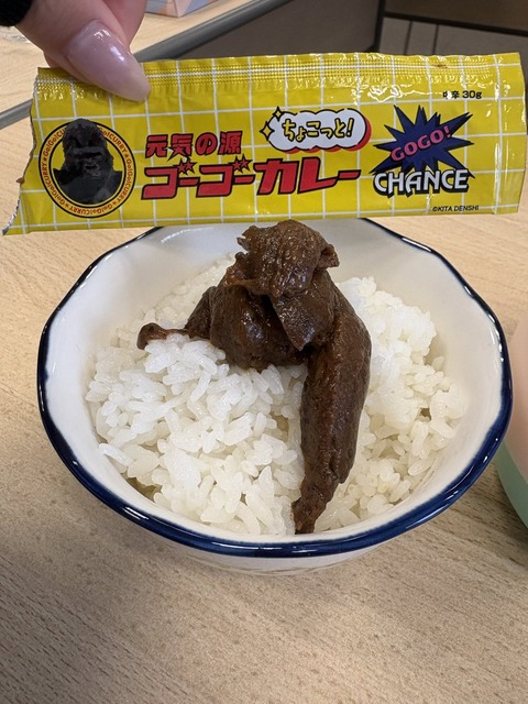【朗報】小さめのゴーゴーカレー、めっちゃ美味そうｗｗｗ （※画像あり）