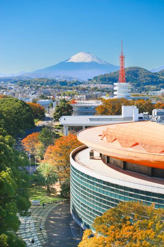 【朗報】東海大学、ASD（自閉症）の原因を特定し治療法を発明してしまう