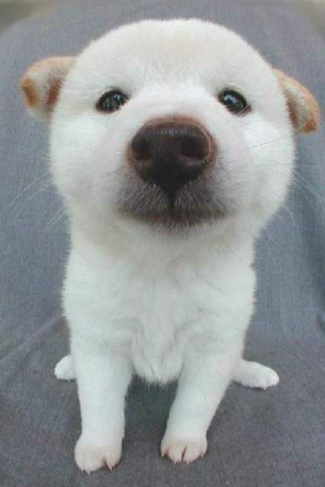 ちょっとでもクスッとしたら貼ってけｗｗｗ