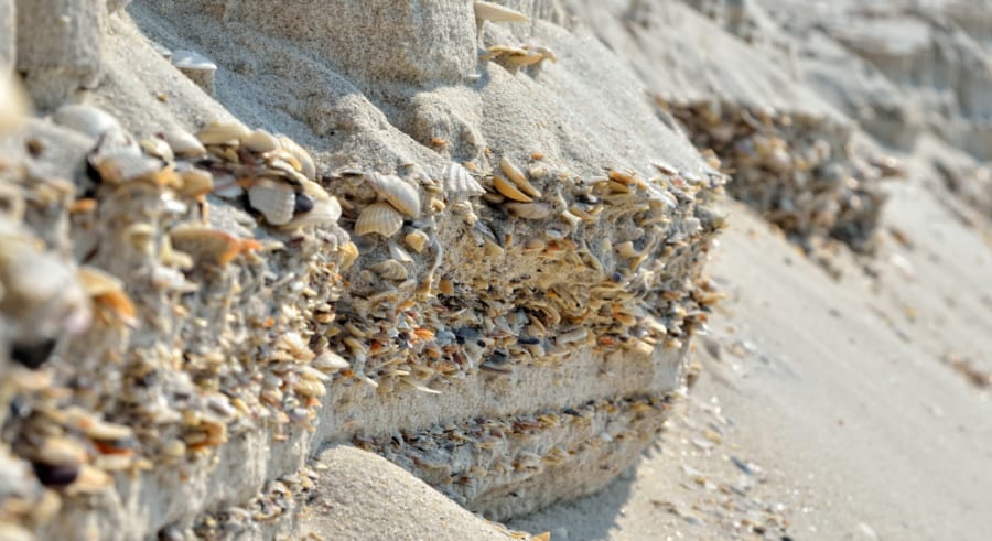 ほぼ全てが貝塚で覆われた3000平方メートルの島を発見