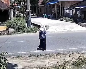 【動画】屋根に子供を乗せた状態で急ブレーキを踏むとこうなる。