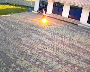 【動画】敷地に侵入したサルを追い払おうとして死亡したホテルの従業員。