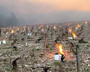 【動画】晩霜と戦うブドウ農家（シャルドネ）が大変すぎる・・・。