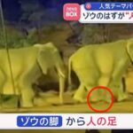 【中国】ゾウのはずが”人の足”見える 人気テーマパークで物議