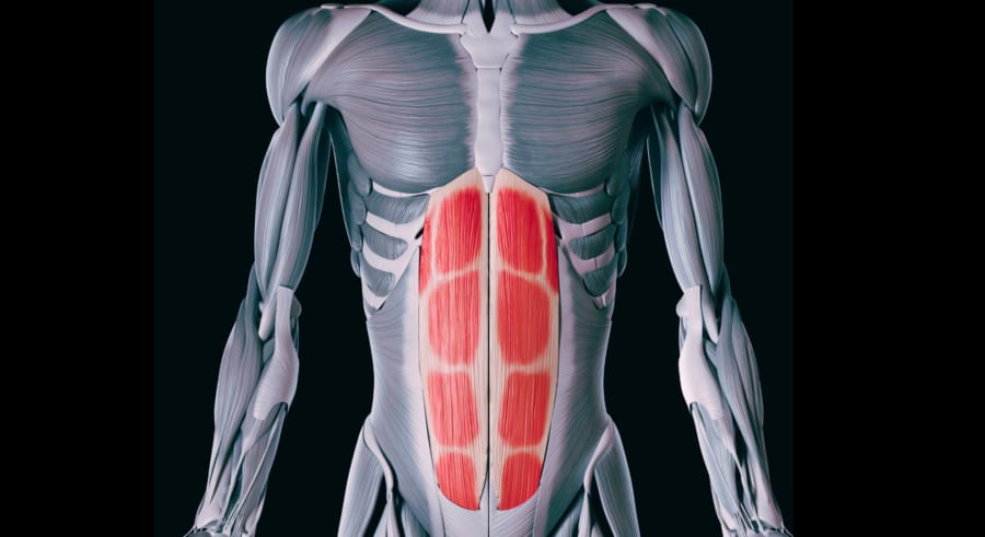 腹筋で脳の『浄化』が起きていた可能性 ── 腹筋は脳洗浄ポンプなのか