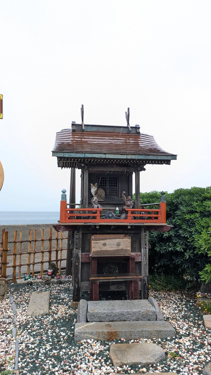 【画像11枚】雨宿りしてる猫が可愛い