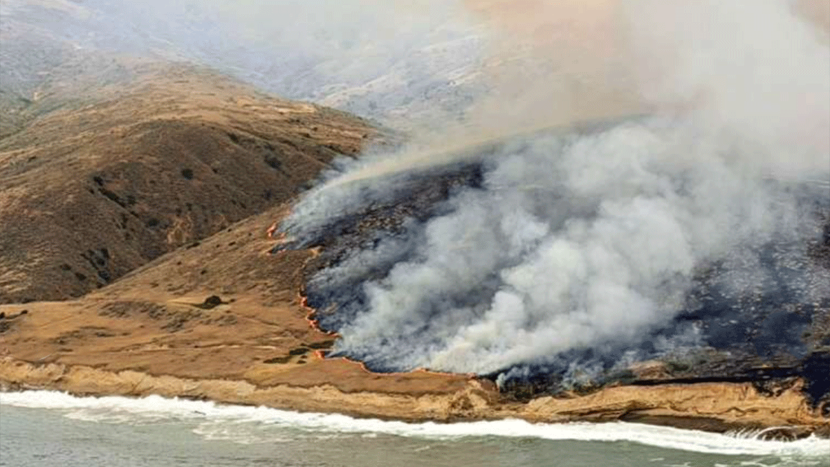 カリフォルニア最大の山火事、船が島に座礁した男性が助けを求めた発煙筒が原因だった