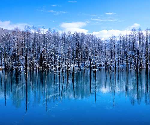 北海道行きのフェリー予約したわ