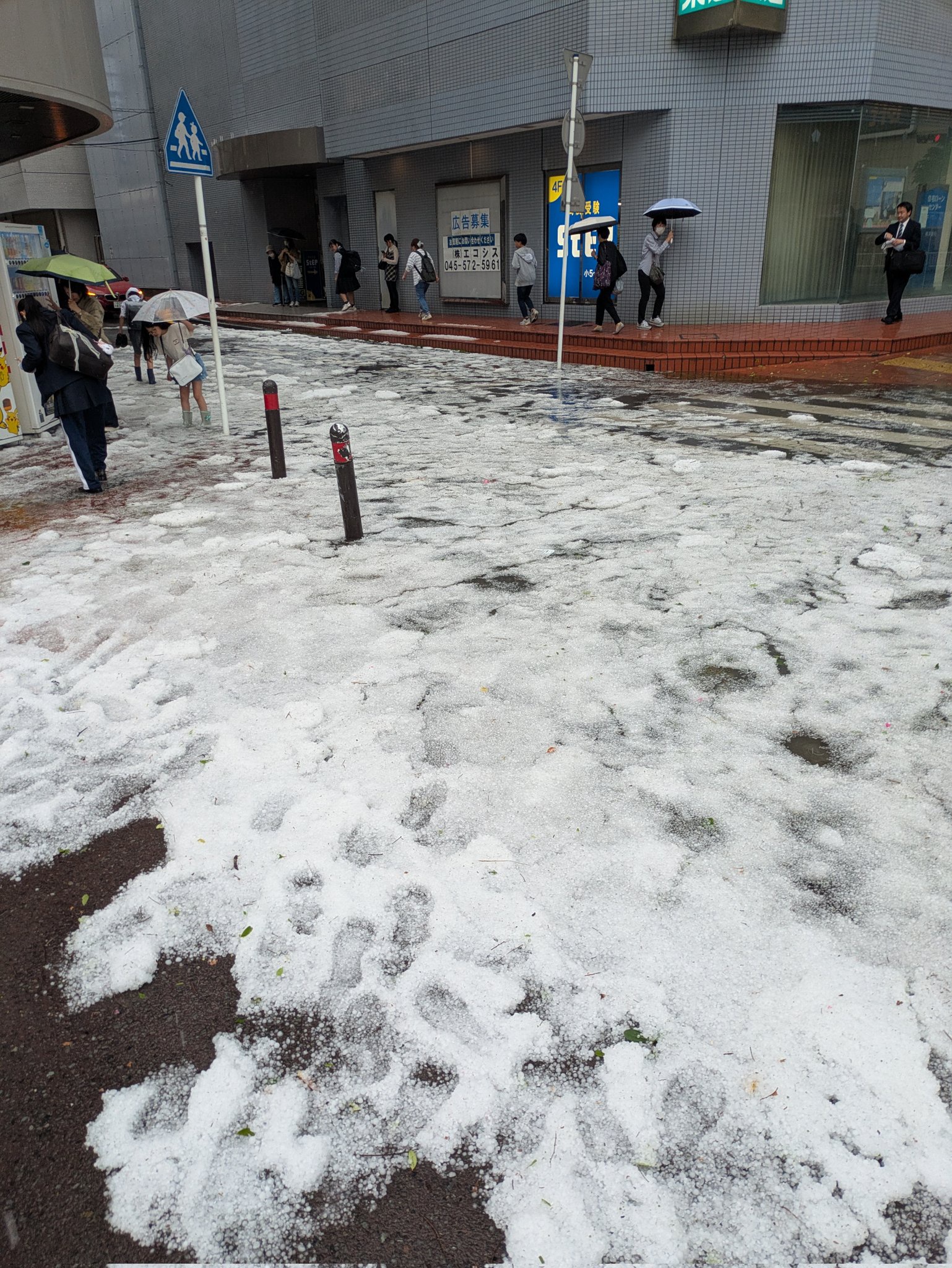【緊急】横浜市、5月なのに雪が積もる