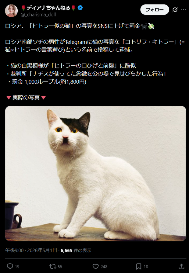 【画像】ヒトラーにそっくりな猫をSNSあげた人逮捕される…
