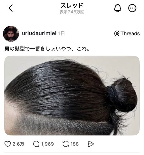 【悲報】女子さん「男の髪型できしょいやつ、満場一致でこれ」www