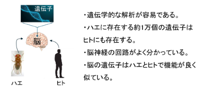 オスの性欲は「狭い部屋に閉じ込められる」と低下すると判明