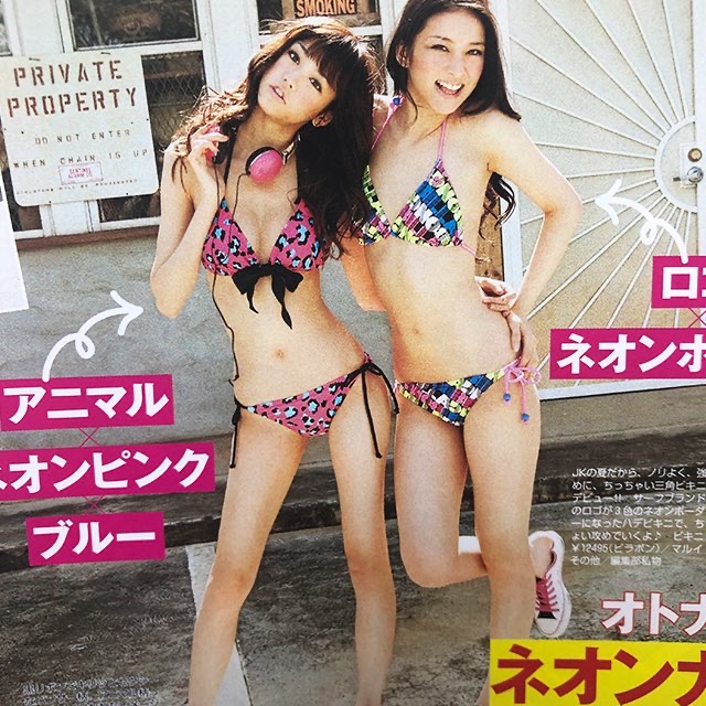 【画像】武井咲と桐谷美玲の水着姿