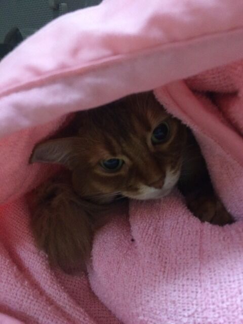 手取り３６万で毎月３０万を妻に渡しているんだけど、「ママ友の旦那はもっと沢山お金をいれる」と詰め寄ってくる。最近は金のことで喧嘩ばかり・・・。うちはおかしいのでしょうか？