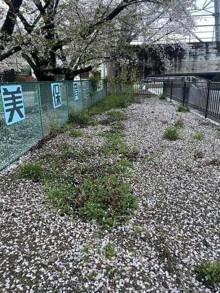 【画像】ワイ、早朝徘徊をする