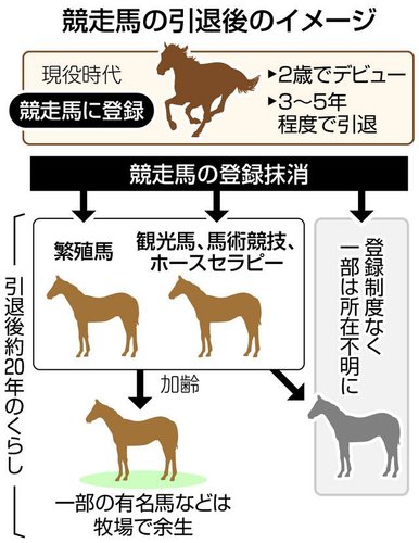 【悲報】引退競走馬さん、年7000頭がほぼ”行方不明”になってしまう