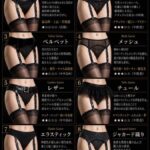エッチな下着のガーターベルト、微妙な差の種類が多くてこち亀の「全部同じじゃないですか」みたいになる
