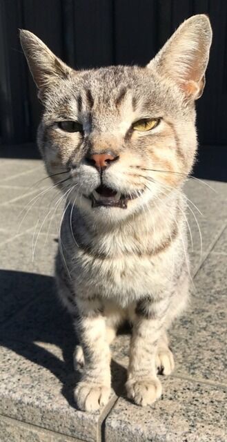 旦那が高校時代にいじめをしていたせいで、娘に友達が出来ずにいる。旦那に言ったら「ごめん・・。」の一言だけ。いじめる側だって辛いんだから、過去をほじくらないで！