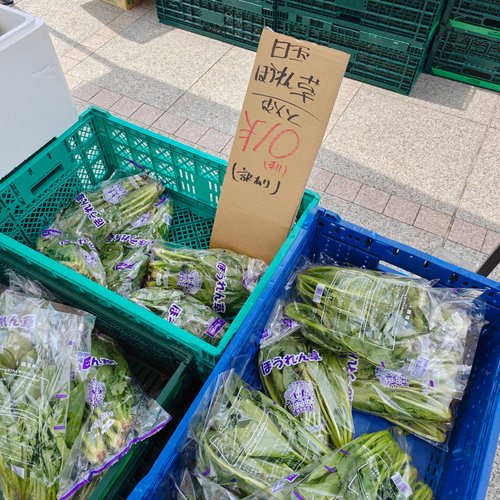 【悲報】近所のグエンさんがやってる八百屋、安すぎて今日も大盛況www