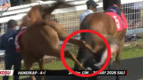【動画】競走馬の後ろにいた女性、馬にバンッ！！！と蹴られた衝撃で4～5メートル吹き飛ばされる