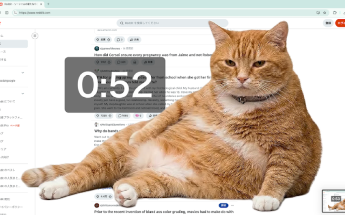 SNSやめーにゃ。画面を邪魔する太っちょ猫、日本人開発の拡張機能が海外でも話題に