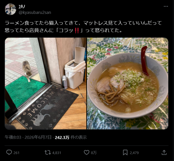 【画像】メスガキ、二郎系ラーメンに歓迎されるも追放される