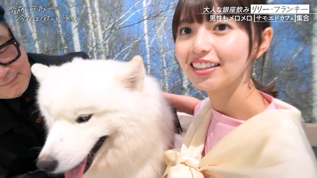 サモエドカフェで楽しそうな齋藤飛鳥ちゃんが可愛すぎる！！！【元乃木坂46】