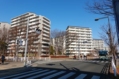 【悲報】昭和の日本人さん「団地を作ったで！ひばりが丘と名付けよう！」www