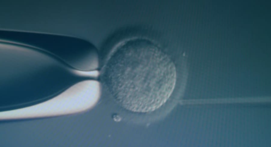 精子を磁性化させて磁力で操ることに成功、しかも磁化した方が元気が長持ちした