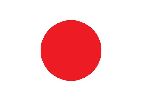 【悲報】国旗損壊罪を反対するヤツってなんで？