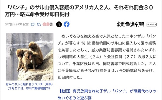 「パンチ」のサル山に侵入したアメリカ人２人、それぞれ罰金３０万円　即日納付