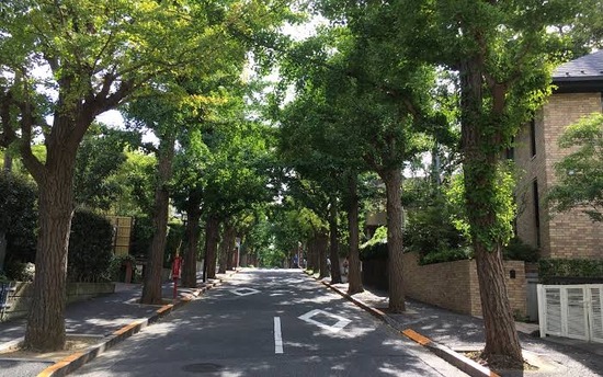 【画像】「真の上級国民」、なぜか絶対にタワーマンションに住まないwww
