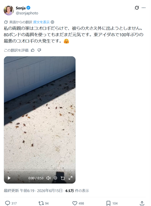 【注意】海外の家、コオロギだらけで逝く。お前らの想像の1.2倍コオロギだらけwww