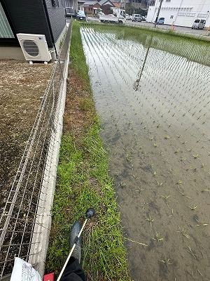 農家「隣で除草剤撒かれて稲枯れた、許されんぞ・・・」←3万いいねwww