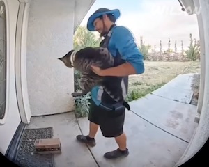 【動画】人懐っこいネコちゃん、Amazonの配達員に誘拐されてしまう。