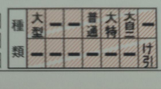 【画像】俺より運転免許すごい奴いる？