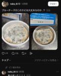 X民「ブルーチーズ買ったらカビ生えてた！晒したろ！！→1000イイネ」