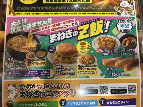 カラオケまねきねこ「これが日本のZ飯よ！申し訳ないが大人は注文できません」→大人「しねぇよ」（※画像あり）