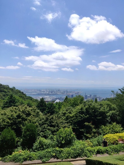神戸に初めて来た時のワイ「山が近くにあって怖い」