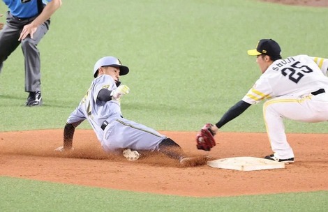 【議論】阪神・藤川監督退場　二盗判定でNPBに説明要求ｗｗｗ