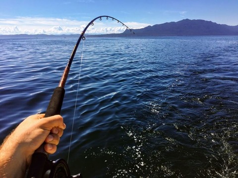 (ヽ´ん`)「川釣りでアジが大漁大漁。しかも自分で釣ればタダという最強のコスパ」