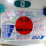 【画像】サッカー日本代表、国旗損壊www