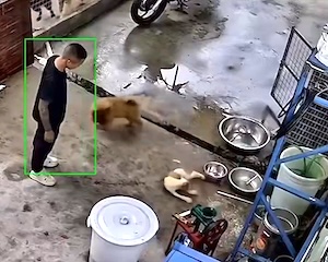 【動画】飼い犬が熱い鍋に落ちてしまう事故。これはキツい(@_@;)